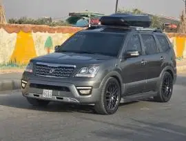 موهافي 2013, حلب