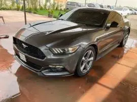Ford Mustang 2015, Damascus
