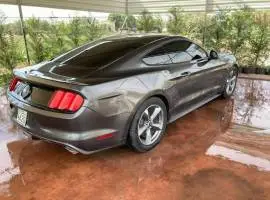 Ford Mustang 2015, Damascus