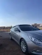 هونداي سوناتا 2010, حماة