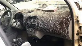 Chevrolet Van 2010, Damascus