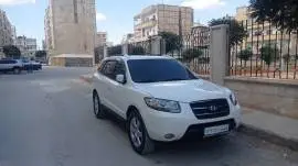Hyundai CM 2009, Homs