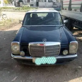 Mercedes Vanous 1975, Tartus