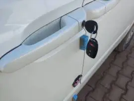 كيا كرنفال 2010, RF11320482