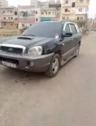 Hyundai Santa Fe 2004, RF83118173