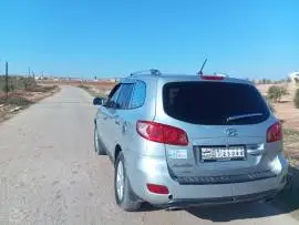 سي ام 2006, RF50153846