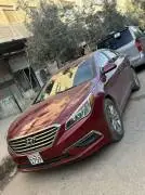 Hyundai Sonata 2015, Hama