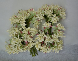 72 FIORI BACCHE PISTILLI X SACCHETTI BOMBONIERE DIAMETRO 2,0 CM LUNGHEZZA 10 CM (PANNA) - 1