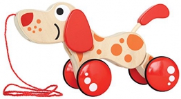 Hape E0347 - Cagnolino Multi Pose - 1