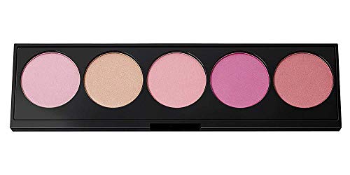 L’Oréal Paris Infaillible Paint Palette Viso Blush, 01 Pink