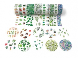 Washi tape set regalo a tema dettagliate stampe con gli adesivi Plant cactus - 1