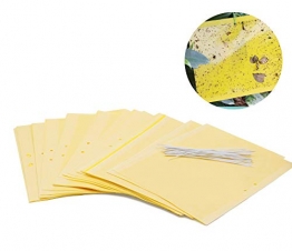 Plai 30 Fogli MoscheTrappola(giallo 20 x 25 cm), Trappola Bi-adesiva per Insetti, Mosca Bianca , Mosca della Frutta , Afidi, Minatori Fogliari, Cicaline - 1