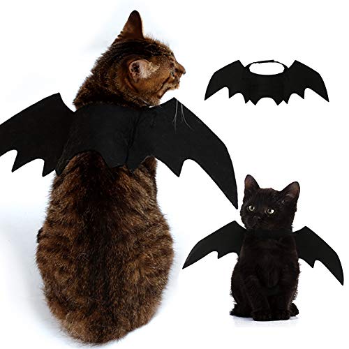 Iris Sprite Costumi di Halloween Pet ali di pipistrello per animali cani gatti decorazioni di Halloween Cappello di zucca Cappello di ragno Cappello di Corno (Ali di pipistrello)