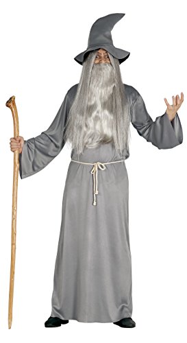 FIESTAS GUIRCA S.L..- 84466 Costume Mago Stregone Gandalf Adulto, Grigio, L (L (52), 84466.0