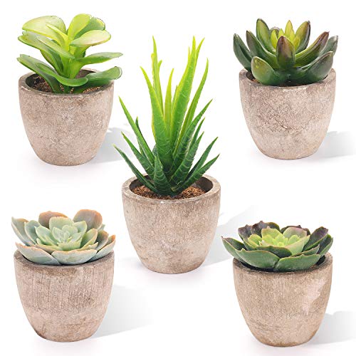 EKKONG Piante Artificiali in Vaso Mini plastica Piante Fiori con vasi Grigi per Decorazioni per la casa Erba Floreali Miste Artificiali Decorativo del Desktop Davanzale Bonsai Decorazione (5 PCS)