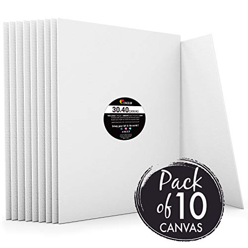Zenacolor – Set di 10 Tele Cartonate per Dipingere 30 x 40 cm – Tutti i Tipi di Pittura su Tela – 100% Cotone Senza Acidi.