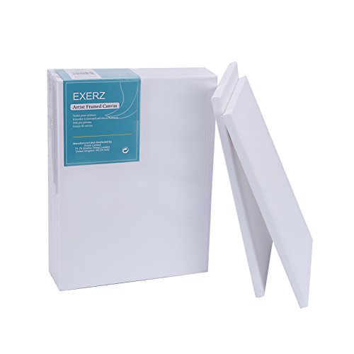 EXERZ Set da 5 tele per pittura/ Tele d’artista intelaiate/ 40 x 30cm 280GSM / tele prestirate 100% Cotone / Vuote/ Triple Primed, tre strati di gesso/ Prive di acidi / Grana media/ spessore 1.7cm