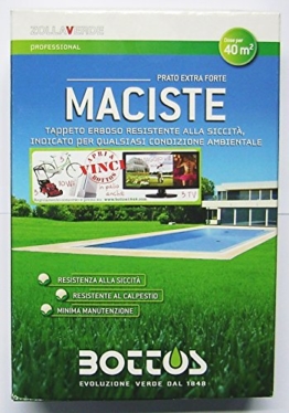 Maciste - Sementi per tappeto erboso - Ideale per zone aride - 1 Kg - 1