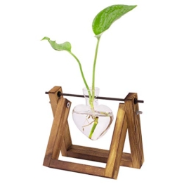 ANBET Vaso in Vetro idroponico Trasparente, Vaso in Vetro a Forma di Amore con Supporto in Legno Solido per Piante idroponiche per casa, Giardino, Ufficio, Decorazioni per Feste(1 Vaso) - 1