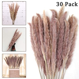 GoMaihe 30pcs Erba della Pampas, 60cm Fiori Secchi Naturali Decorativi per Vasi, Bouquet Boho Decorazioni Casa Camera da Letto Ragazza, Fotografare Decorazione della Tavola - 1
