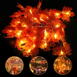 Halloween caduta foglia d'acero decorazione luce 6 m 40 LED autunno impermeabile ghirlanda stringa luce per festa del Ringraziamento, Natale, festa di casa, feste in interni ed esterni - 1