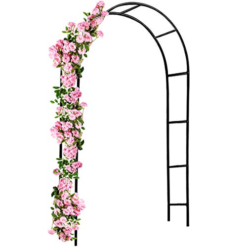 Deuba Arco rampicanti 240x140x37cm Metallo Arco Giardino Fiori Rose Piante Decorazione pergolato Decoro Esterno Supporto
