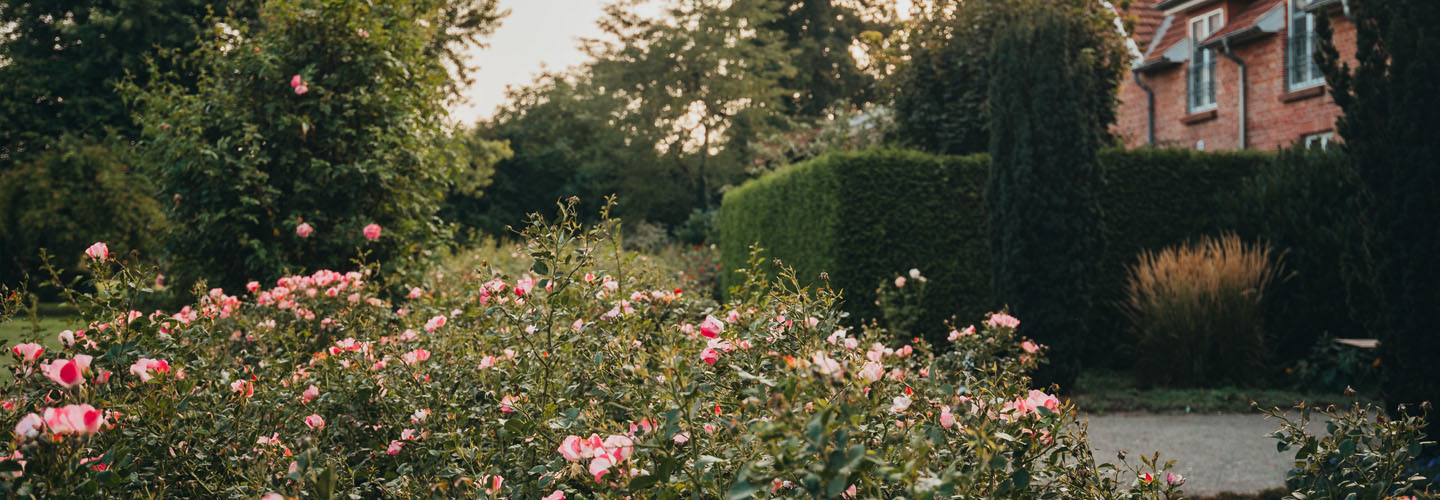 Förderprojekt Lian und Levi - ROSENGARTEN Stiftung Förderprojekt Lian und Lev i- ROSENGARTEN Stiftung