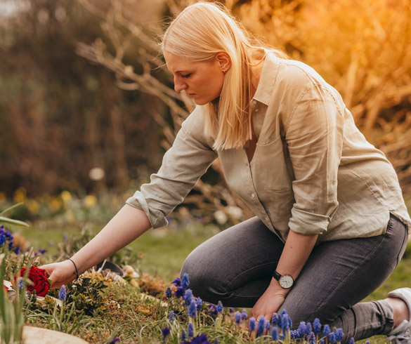 ROSENGARTEN Tierbestattung Urnenbeisetzung ROSENGARTEN Tierbestattung Urnenbeisetzung