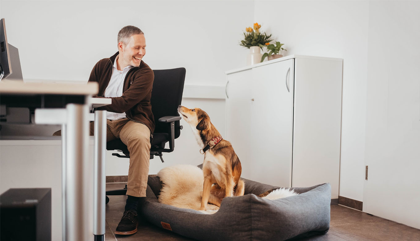ROSENGARTEN Tierbestattung Arbeitsplatz Bürohund ROSENGARTEN Tierbestattung Arbeitsplatz Bürohund