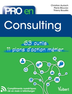 Pro en consulting