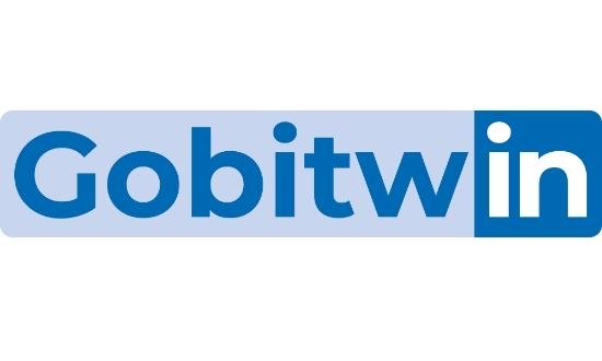 Gobitwin / Prospection B2B - Formation LinkedIn