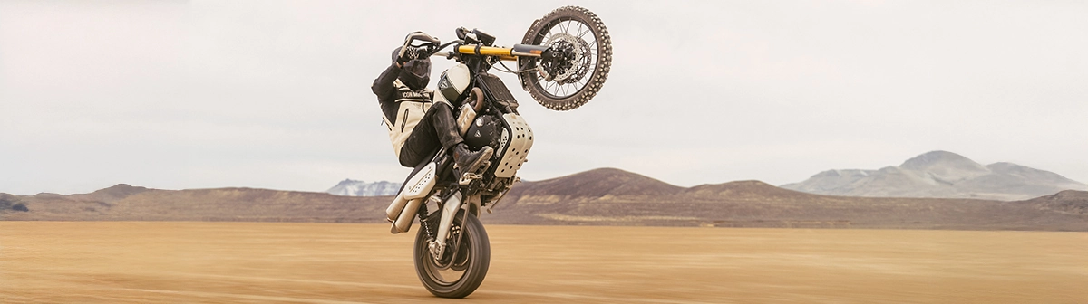 About UsAction Copy 5