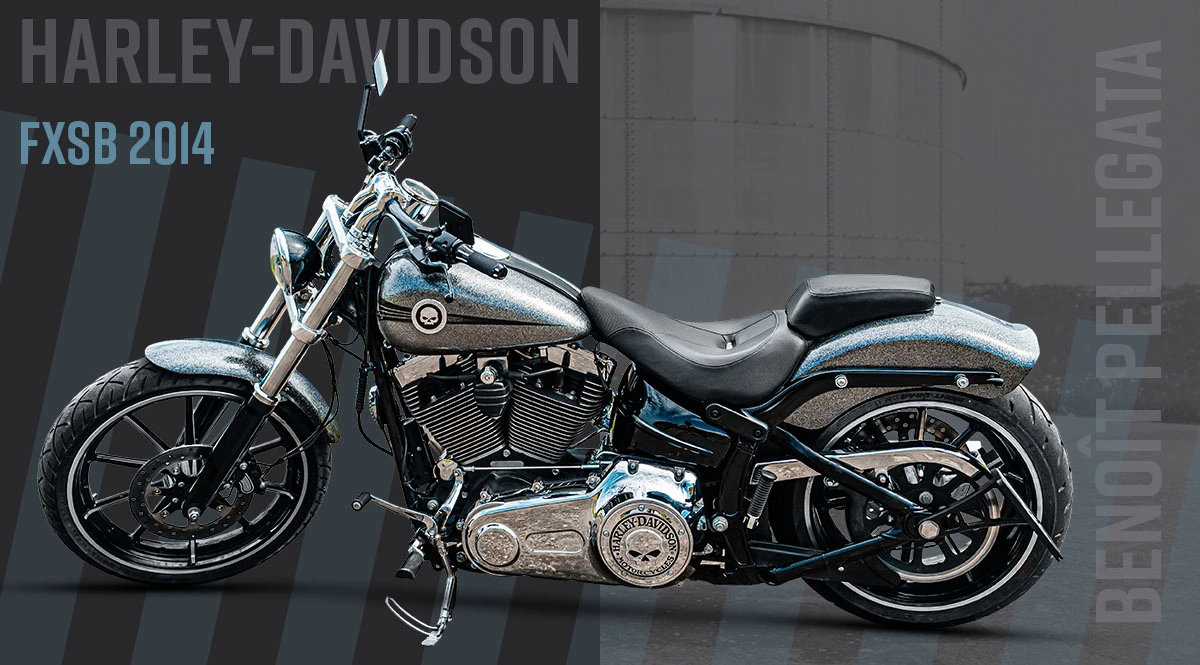 Demobike - H-D FXSB 103 2014