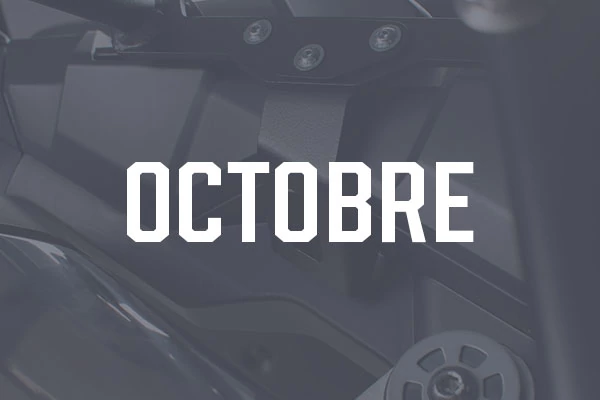 New Products - by Month
