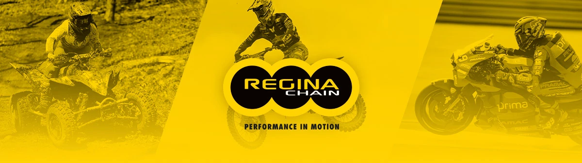 Regina Chains