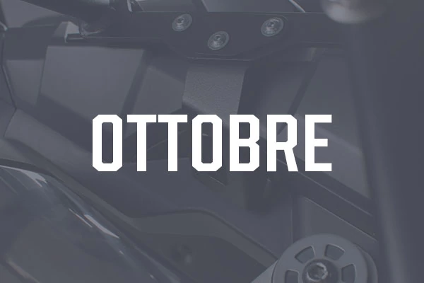 New Products - by Month