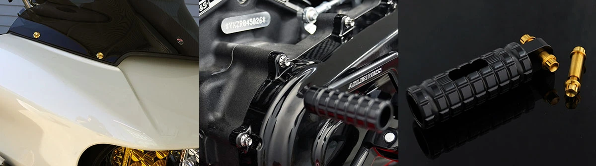 Arlen Ness - Titanium Bolts