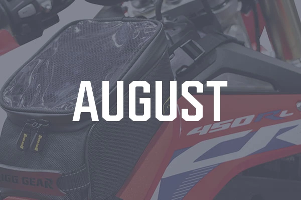 New Products - by Month