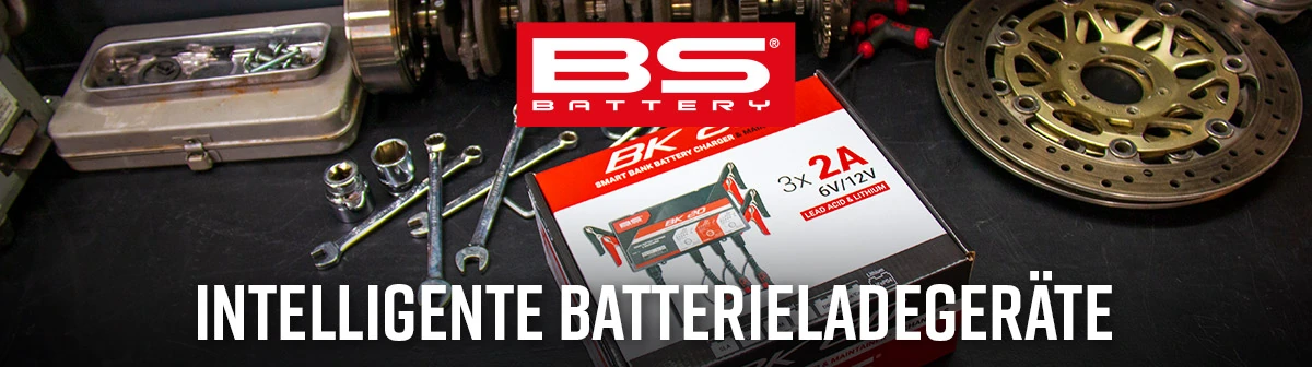 BS Battery - Battery Chargers