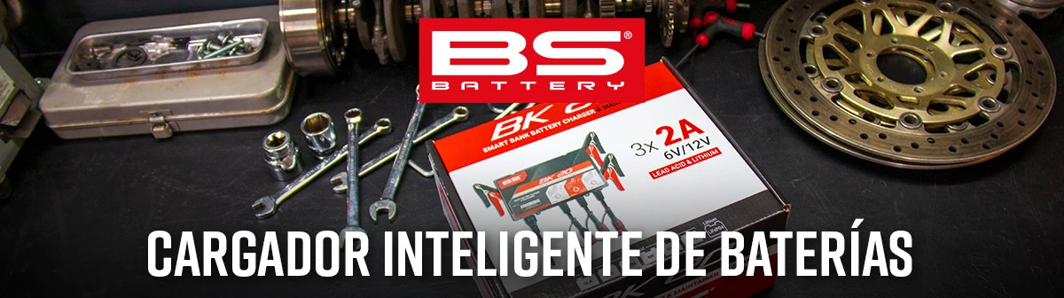 BS Battery - Battery Chargers
