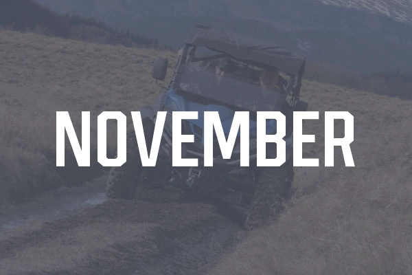 New Products - by Month