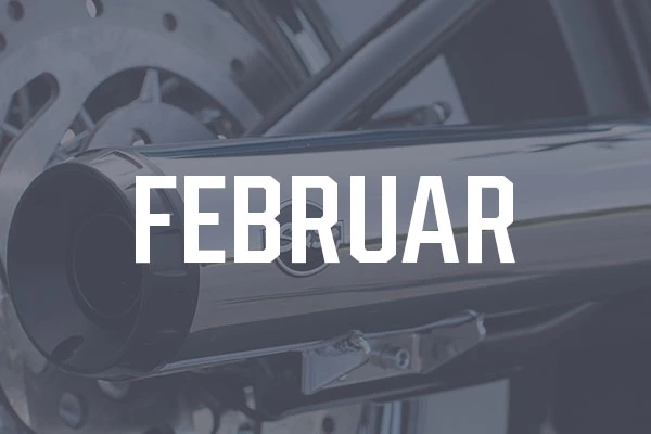New Products - by Month