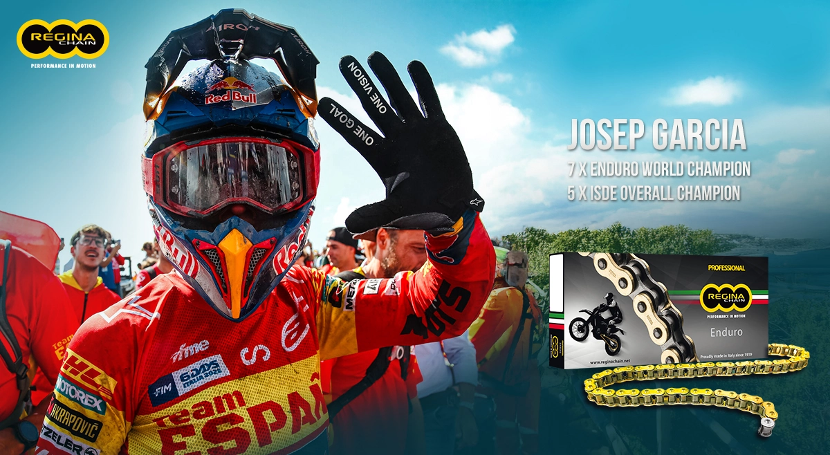 #WEB00887 - Regina Chains - Content UpdateWeb Banner 1200x658 Copy