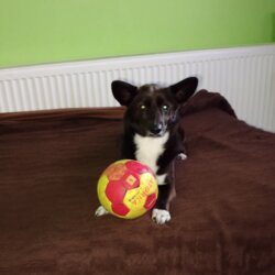 Awatar użytkownika Leniwy8888