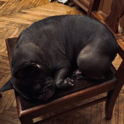 Awatar użytkownika Ajebutter