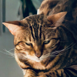 Awatar użytkownika Paulgeorgerockon