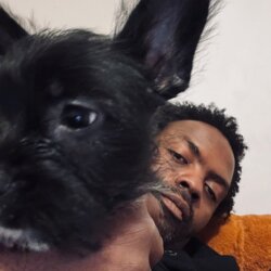 Awatar użytkownika Ajebutter