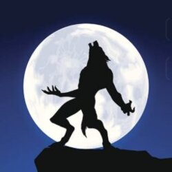 Awatar użytkownika kenny2612