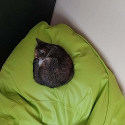 Awatar użytkownika Deimmka