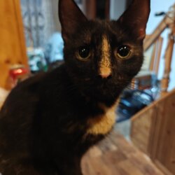 Awatar użytkownika Szymboon2002